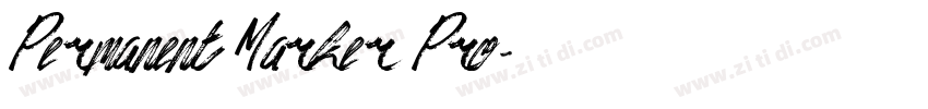 Permanent Marker Pro字体转换